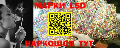 дмт Новокубанск