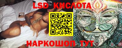 дмт Новокубанск