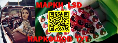 дмт Новокубанск