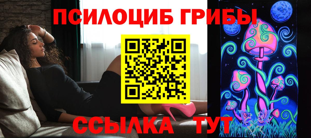 Славянск-на-Кубани  Псилоцибиновые грибы ЛСД  Псилоцибиновые грибы мухоморы  Вход с VPN 